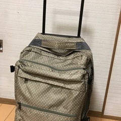 旅行バッグ　お買い物バッグ　中古