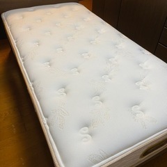 ☆坂本直行☆「 カンアオイ」筆書き　インチサイズ　未使用！ ☆坂本直行☆「 カンアオイ」筆書きインチサイズ未使用！