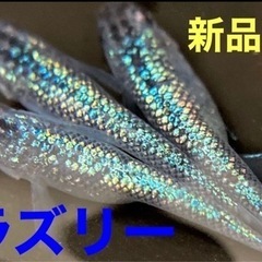 (お譲り先決定】② ラズリー　　有精卵15個+α