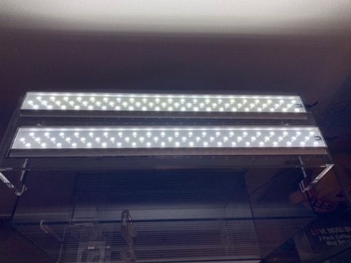 アクアリウム 水草 ADA 60cm 水槽セット アクアスカイG602 アクリル