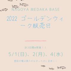 GW販売日のお知らせ‼️☆NMB☆メダカ販売！テラス設置で雨でもOK