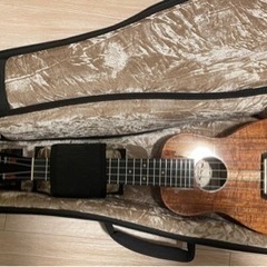 Kanile‘a KCS- C/PG Concert Hawaiian Koa 53494