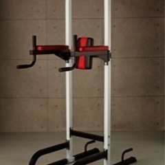 irotec 筋トレ 懸垂マシン