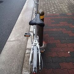 🚴dahon route