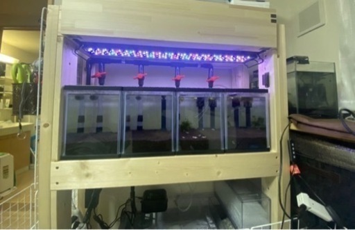 メダカ 水槽 フルキット 美品 オーバーフロー