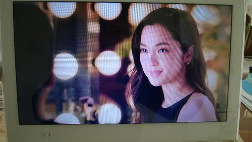 Panasonic パナソニック プライベート・ビエラ ポータブルテレビ