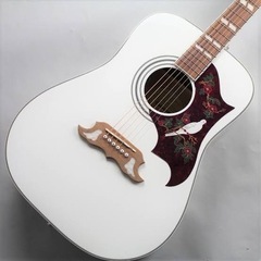 エピフォン Dove Pro  アコースティックギター 白色
