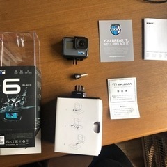 ダトニオ 太いバント 約26cm 発色よし 最終価格 値引き済