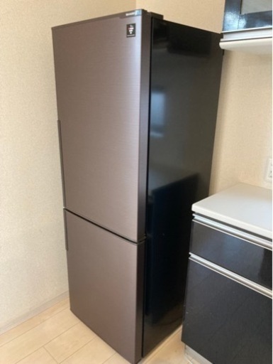 ☀️家電コーディネイトセット【冷蔵庫、洗濯機、レンジや小物家電】