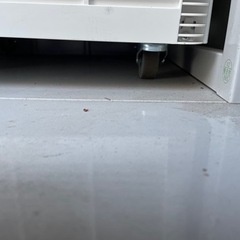 スポットクーラー 一回使用