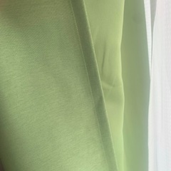 遮光カーテン グリーン 200×108cm 2枚組 (200×216)