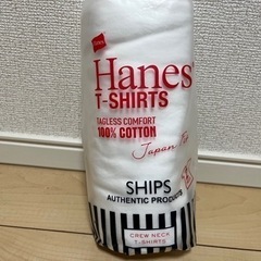 Hanes×SHIPSのコラボパックTシャツ。