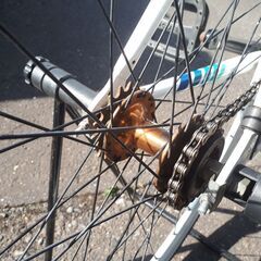 【さらに値下げしました】SCHWINN（シュウィン）  CUTTER（カッター）