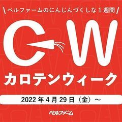 ベルファームつくば　カロテンウィークキャンペーン