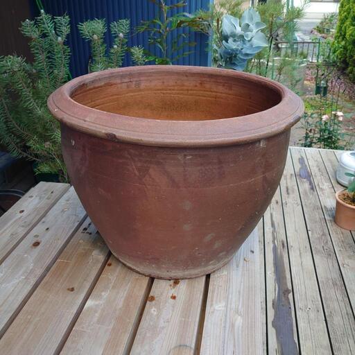 水瓶 メダカ きん 牧之原のその他の中古あげます 譲ります ジモティーで不用品の処分