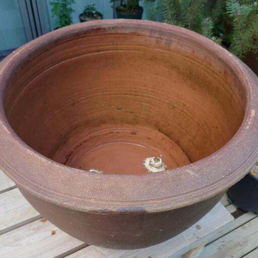 水瓶 メダカ きん 牧之原のその他の中古あげます 譲ります ジモティーで不用品の処分