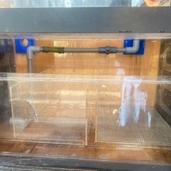 特注アクリルオーバーフロー水槽ユニット