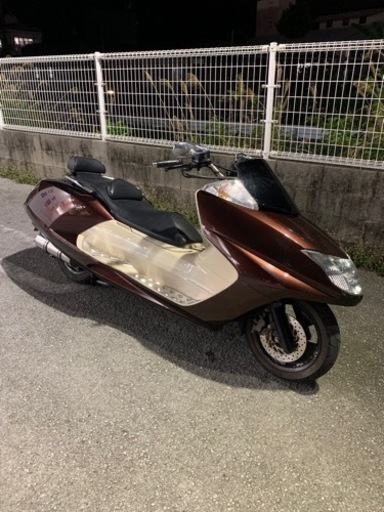 マグザム 後期 | vaisand.com