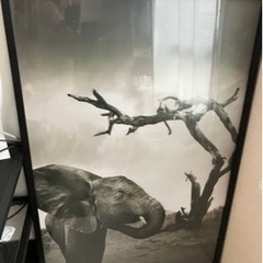 【美品】IKEA ポスター& ポスターフレーム 61×91cm  