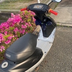 YAMAHA ジョグ