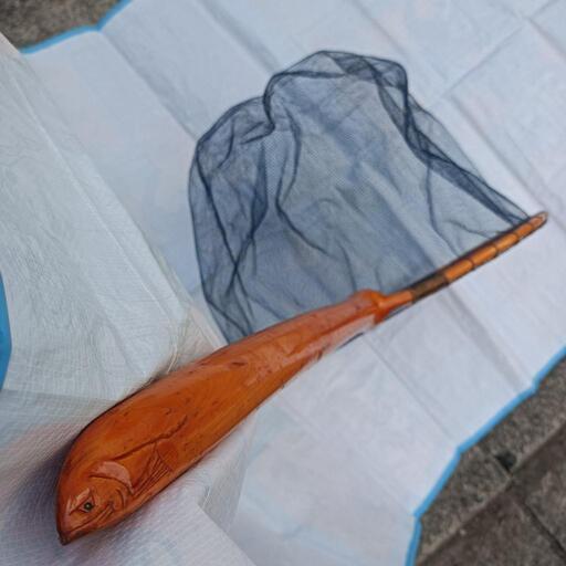 鮎友釣り用の竿と鮎だも