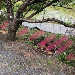 石積み お願いします😣