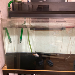 大型アクリル水槽　120×60×60
