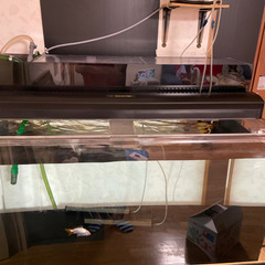 大型アクリル水槽　120×60×60