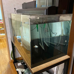 大型アクリル水槽　120×60×60