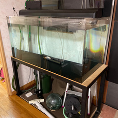 大型アクリル水槽　120×60×60
