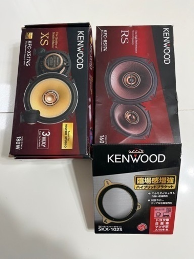 苫米地英人 ワークスDVD第30弾 コグニティブブルーセルブラックスワン