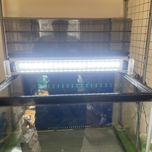 60cmワイド水槽セット
