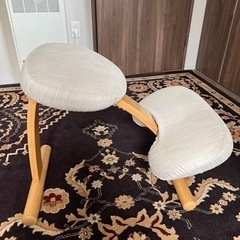 人体工学・姿勢を正す椅子