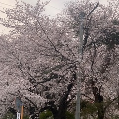 5月4日ツーリング予定