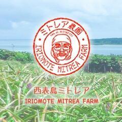 沖縄　西表島で農園のお手伝い！