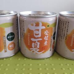(受け渡しが完了しました)愛媛県産甘夏の缶詰をあげます
