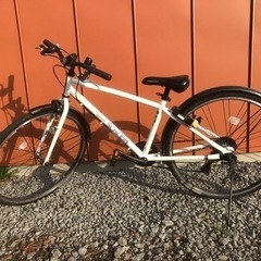 ブリヂストン　24型 子供用　自転車 シュライン　オーロラホワイト/外装7段変速