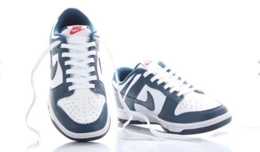 NIKE DUNK LOW Valerian Blue 26cm | pcmlawoffices.com