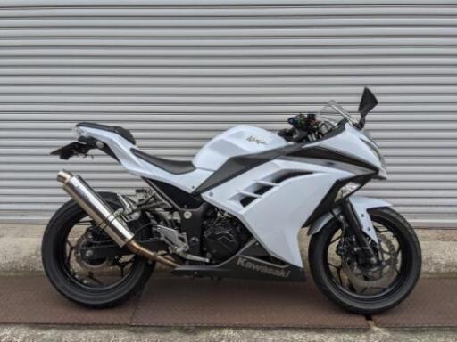 ニンジャ250  L 自賠責付