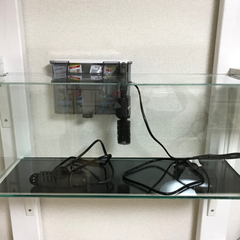 中古）gex 水槽 グラステリア スリム600 （掃除難あり）