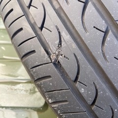 ソリオ純正ホイール(165/65/R15)