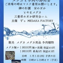 5月5日 四日市商店街　一番街にてメダカ即売会