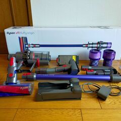 GW限定！ダイソンV11フラッフィーオリジン　交換フィルター付き GW限定！ダイソンV11フラッフィーオリジン 交換フィルター付き