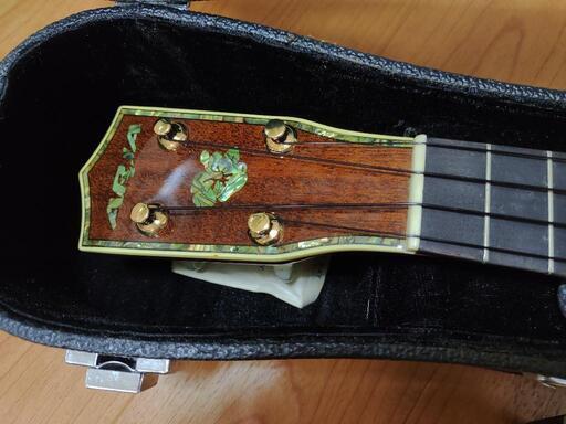 ウクレレ ARIA AU420N