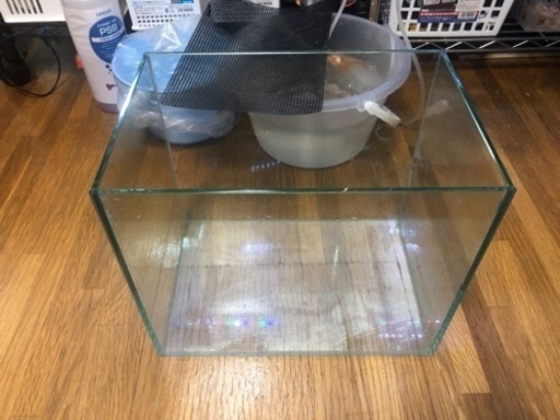 ガラス水槽　蓋なし