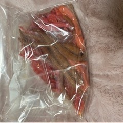 釣り道具2  月末まで取り置き