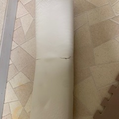 スマーティ　遠赤外線　サウナ　サウナドーム　中古　ダイエット　減量