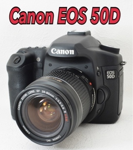 S数わずか5174回●超美品●すぐ使える●キャノン EOS 50D 1ヶ月動作保証あり！ 安心のゆうパック代引き発送！ 送料、代引き手数料無料！