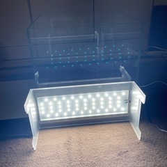 中古 A D A30cm水槽とライトおまけ付き