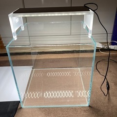 中古 A D A30cm水槽とライトおまけ付き 中古 A D A30cm水槽とライトおまけ付き